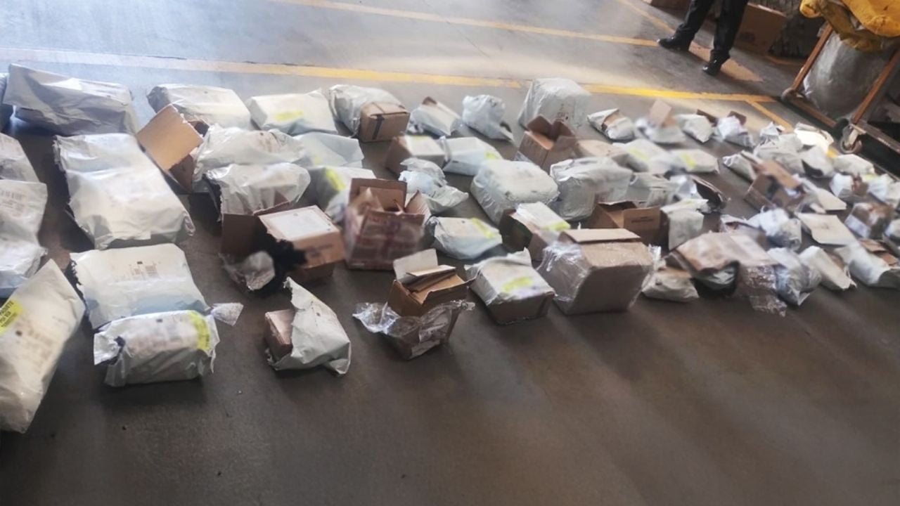 Decomisan 63 paquetes de droga y 518 vapeadores en empresa de paquetería en Hermosillo