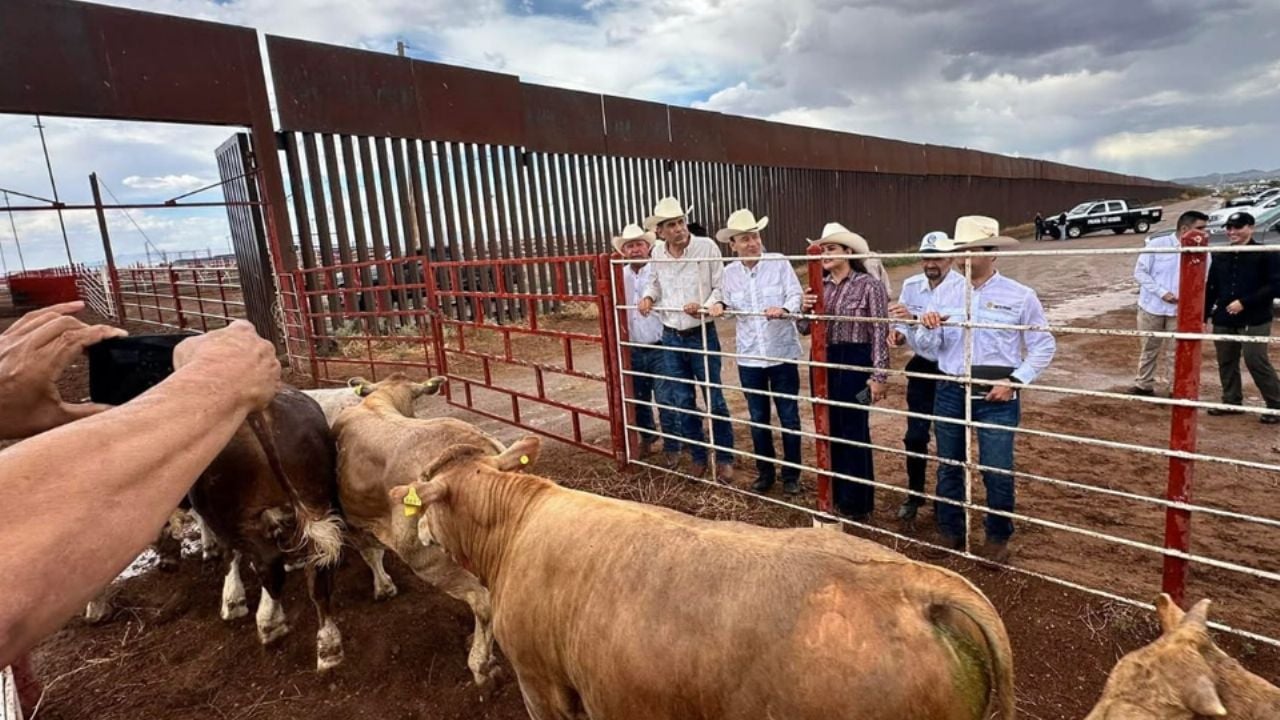 Ganaderos de Sonora recibirán a las autoridades americanas para evaluar reapertura de frontera