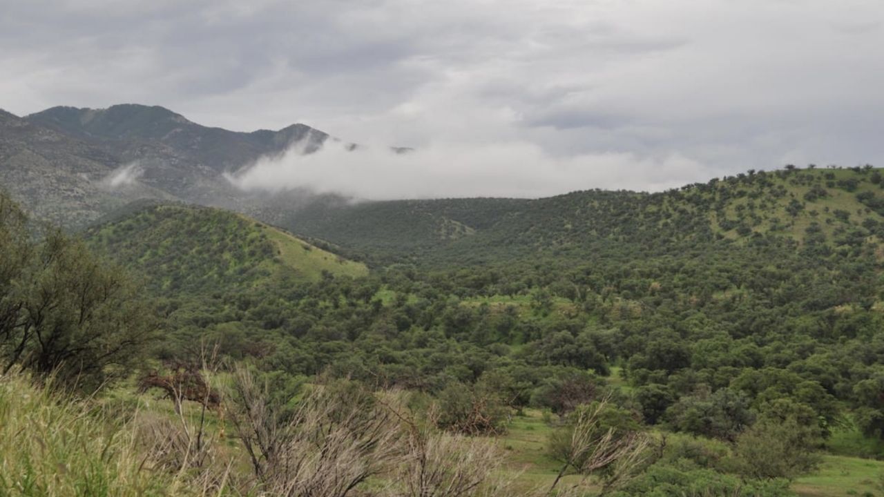 Clima Sonora HOY: Monzón mexicano provocará FUERTES LLUVIAS este lunes 1 de septiembre
