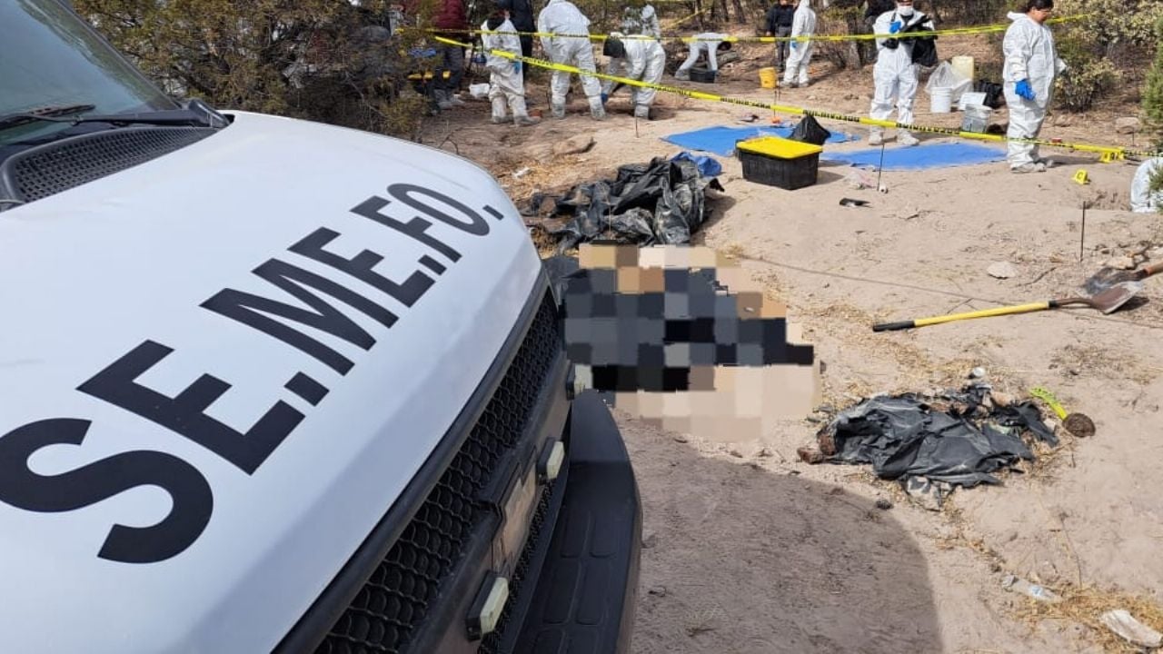 Hallan en fosa clandestina a padre e hijo originarios de Sonora; identifican a las víctimas