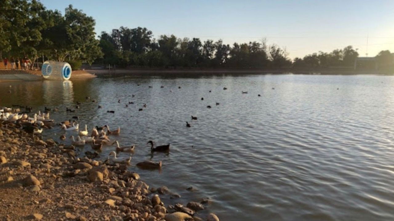 ¿Lloverá HOY en Ciudad Obregón? Pronóstico del clima en Sonora domingo 7 de septiembre