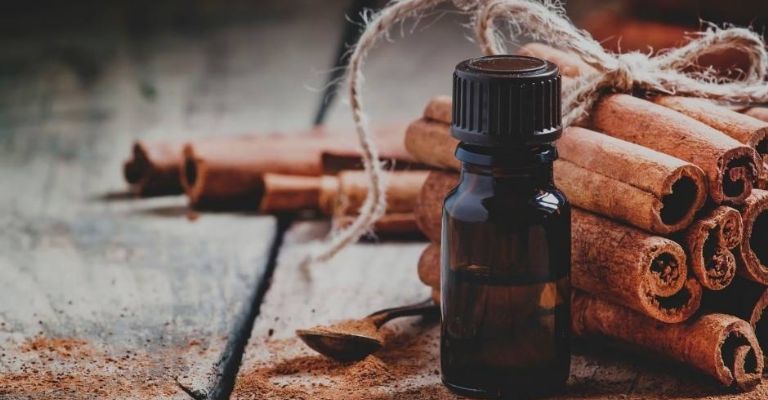 La canela aleja a los mosquitos por su fuerte y picante aroma