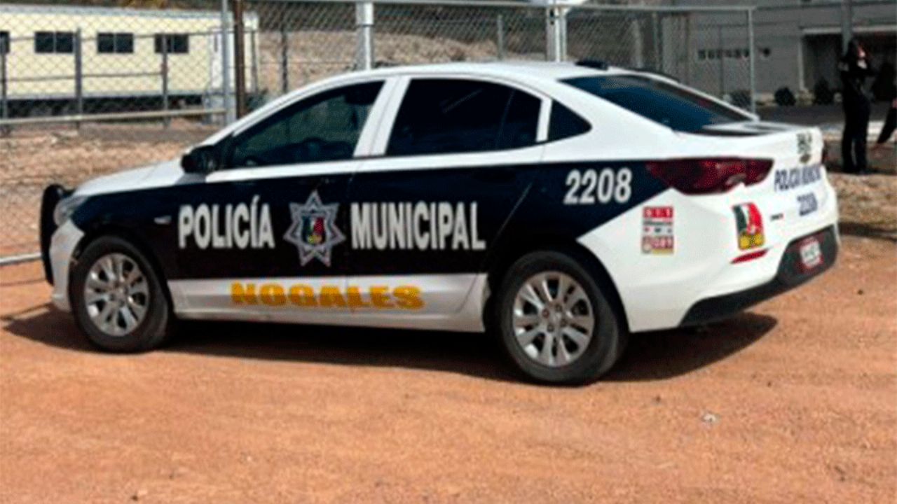 Nogales: Niña de 13 años es atropellada tras volver por su mascota; está grave