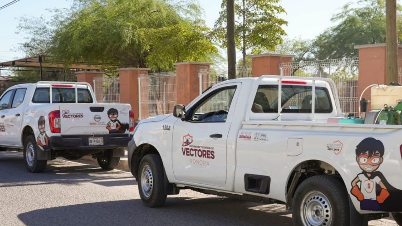 Alertan por posibles brotes de dengue en Sonora después de las lluvias ‘Lorena’