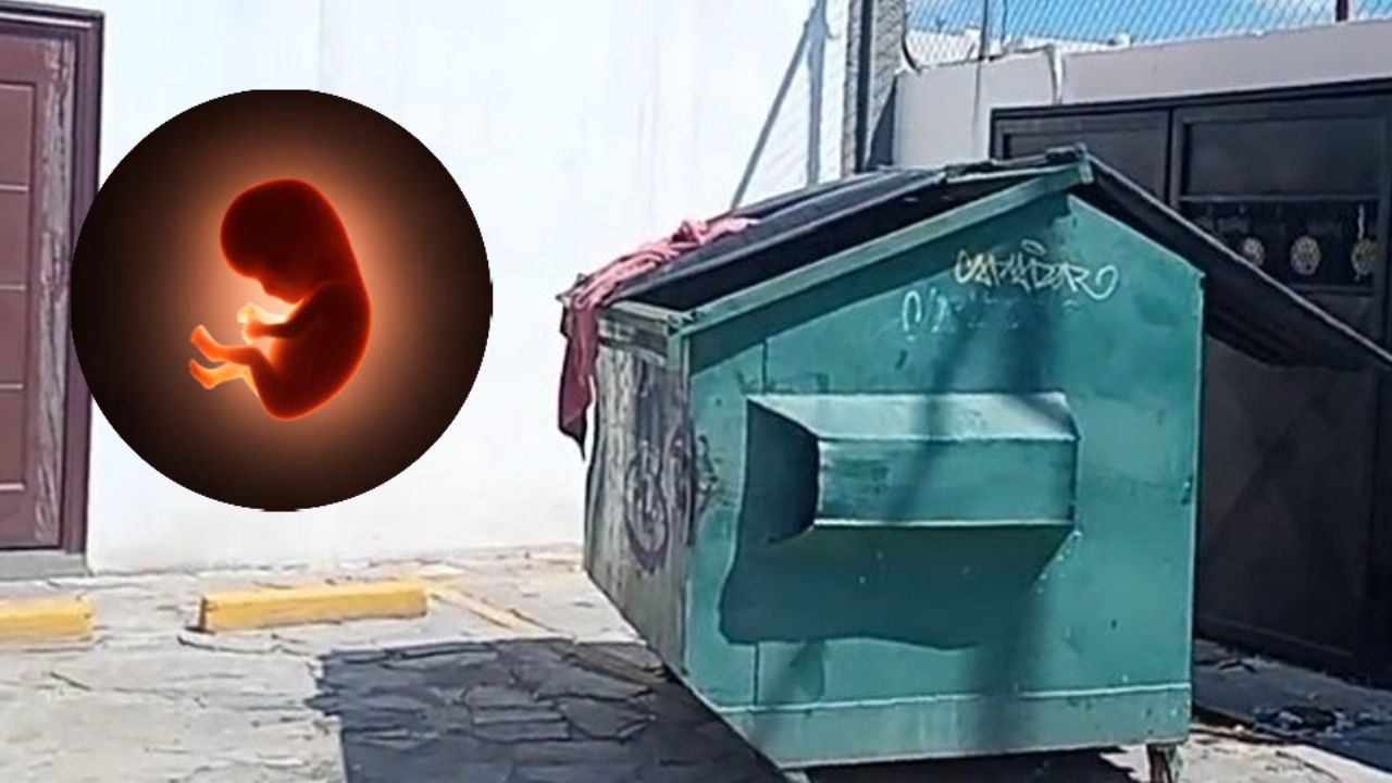 FGJES investiga tétrico hallazgo de feto en contenedor de basura de Hermosillo