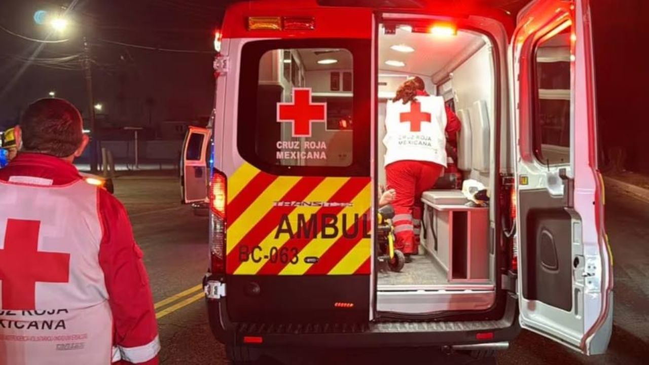 Vaca provoca accidente al ser impactada por un auto en carretera Hermosillo-Bahía de Kino