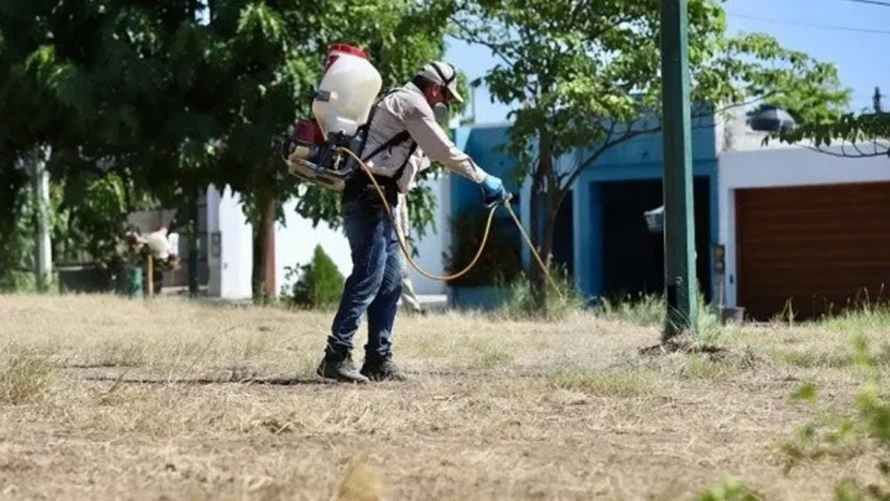 No hay repunte de casos por dengue, tormenta de polvo en Caborca y más en el Tribuna Top 3 Sonora