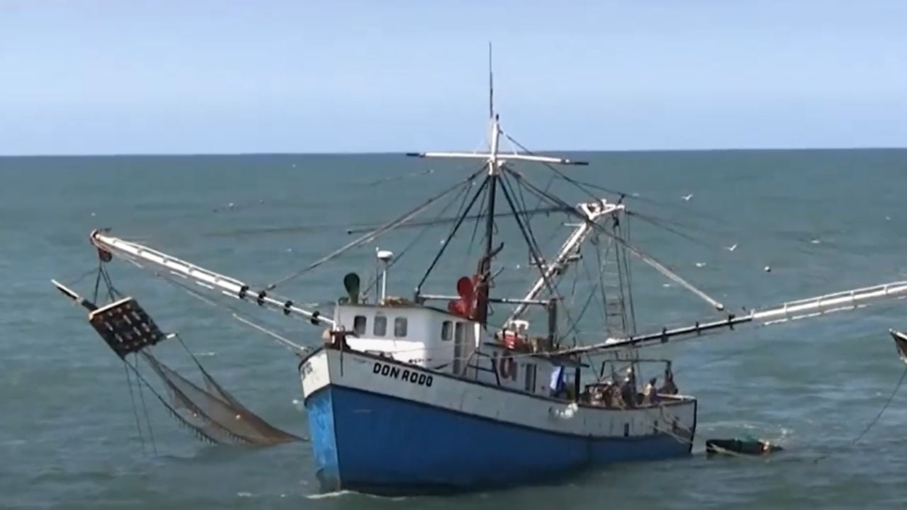 Comienza temporada de camarón 2025 en el Pacífico; 698 embarcaciones saldrán de Guaymas y Empalme