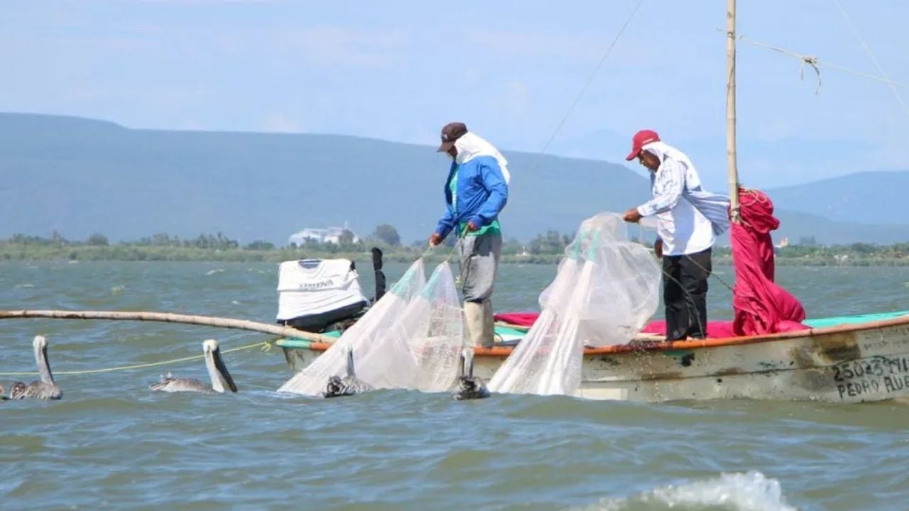 Pescadores de Guaymas piden cambiar el reglamento de pesca para captura del camarón