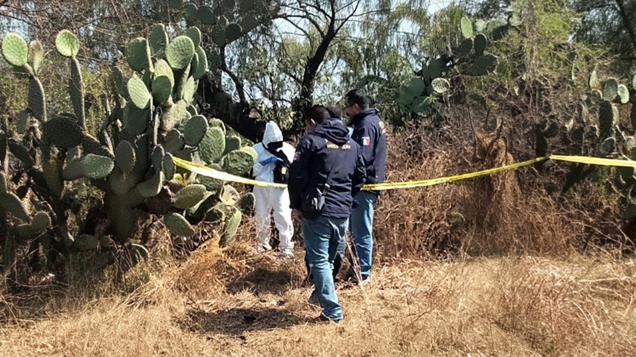 Encuentran a mujer muerta en camino rural de Hidalgo; estaba desmembrada y ‘embolsada’