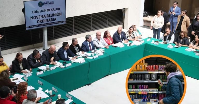 Comisión de Salud en la Cámara de Diputados