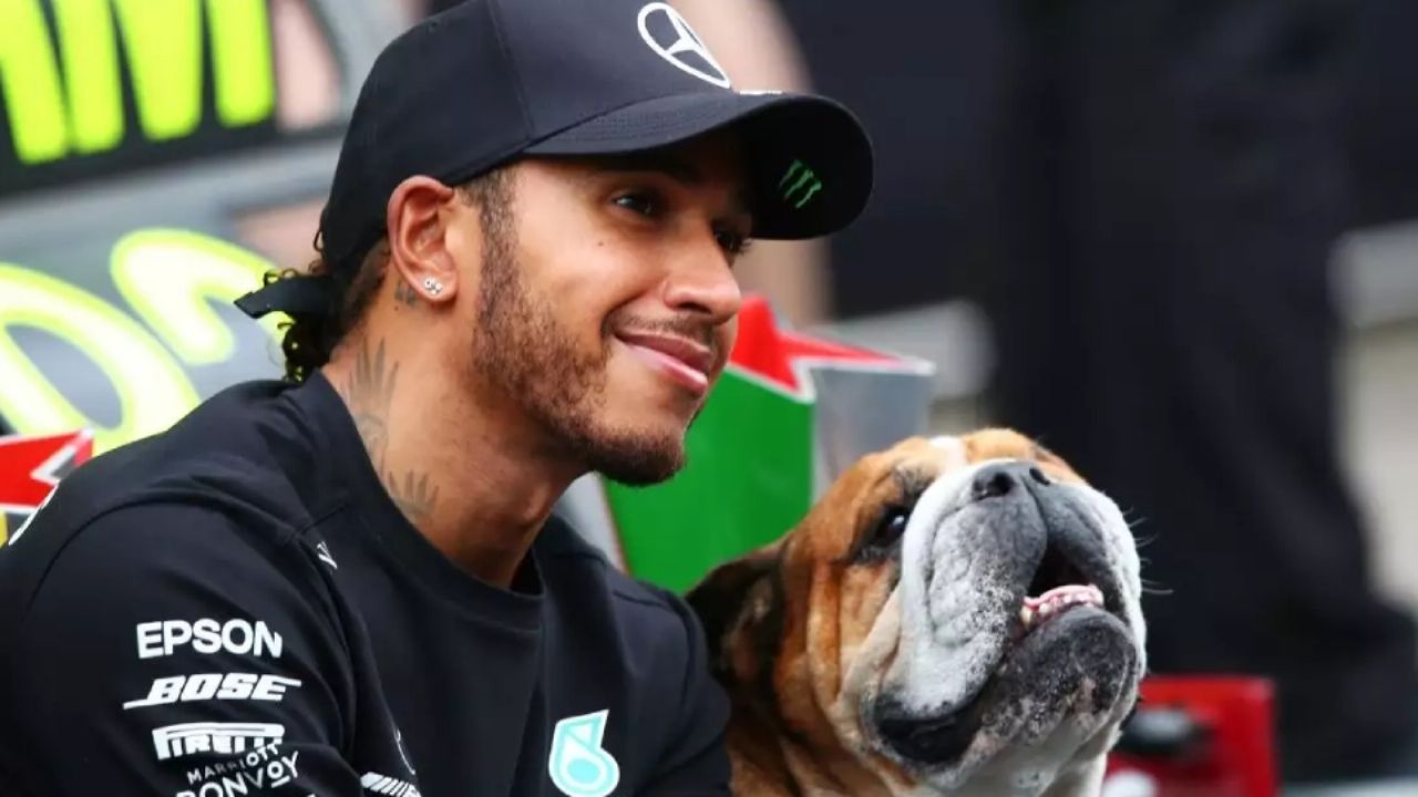 “No sabemos si despertará”: Lewis Hamilton revela que su ‘hijo’, ‘Roscoe’, está en coma