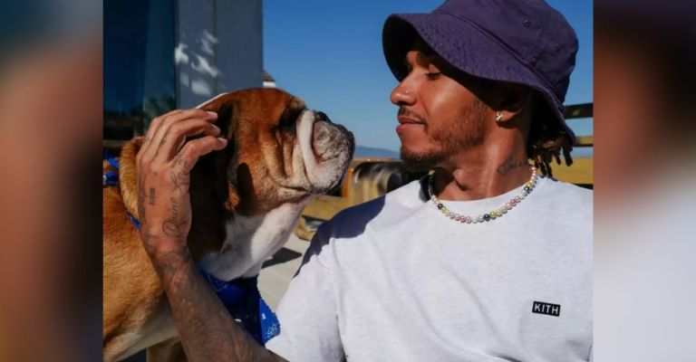 Lewis Hamilton anuncia que su hijo Roscoe está en coma y muy grave