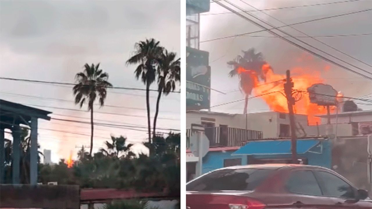 Rayo incendia palmera en Guaymas y provoca pánico durante lluvias intensas