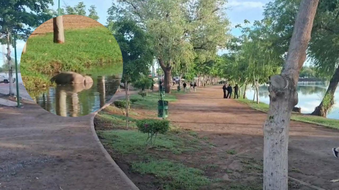 Tétrico domingo: Encuentran cadáver en las aguas de la Laguna del Náinari