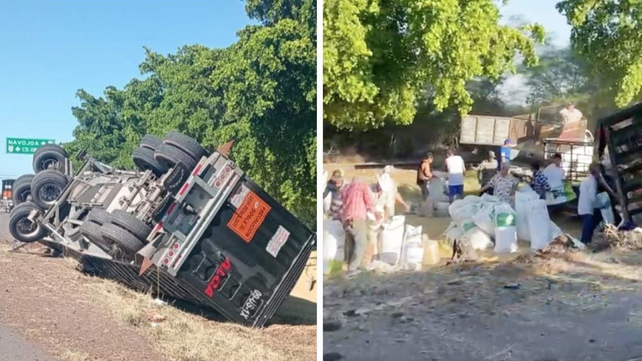 VIDEO: Vuelca camión cargado de granos al sur de Sonora y la rapiña no se hace esperar