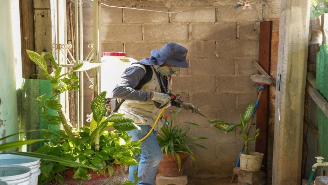 Secretaría de Salud en Sonora intensifica acciones de control del dengue