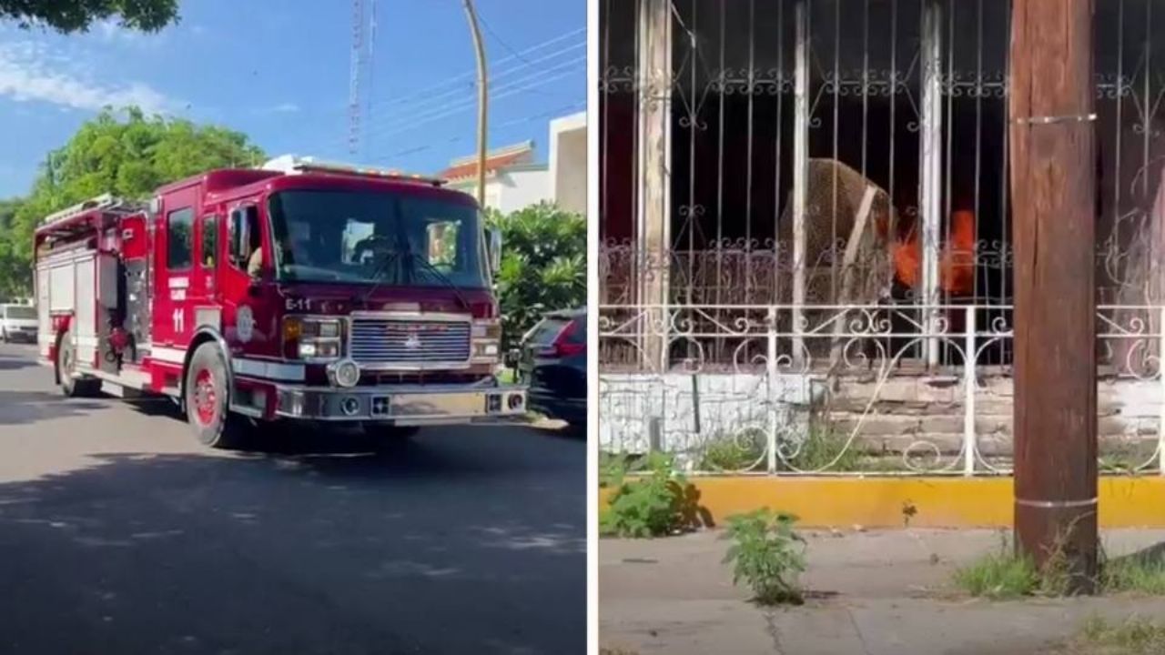 Alerta Ciudad Obregón: Autoridades atienden un incendio en vivienda de la colonia Centro
