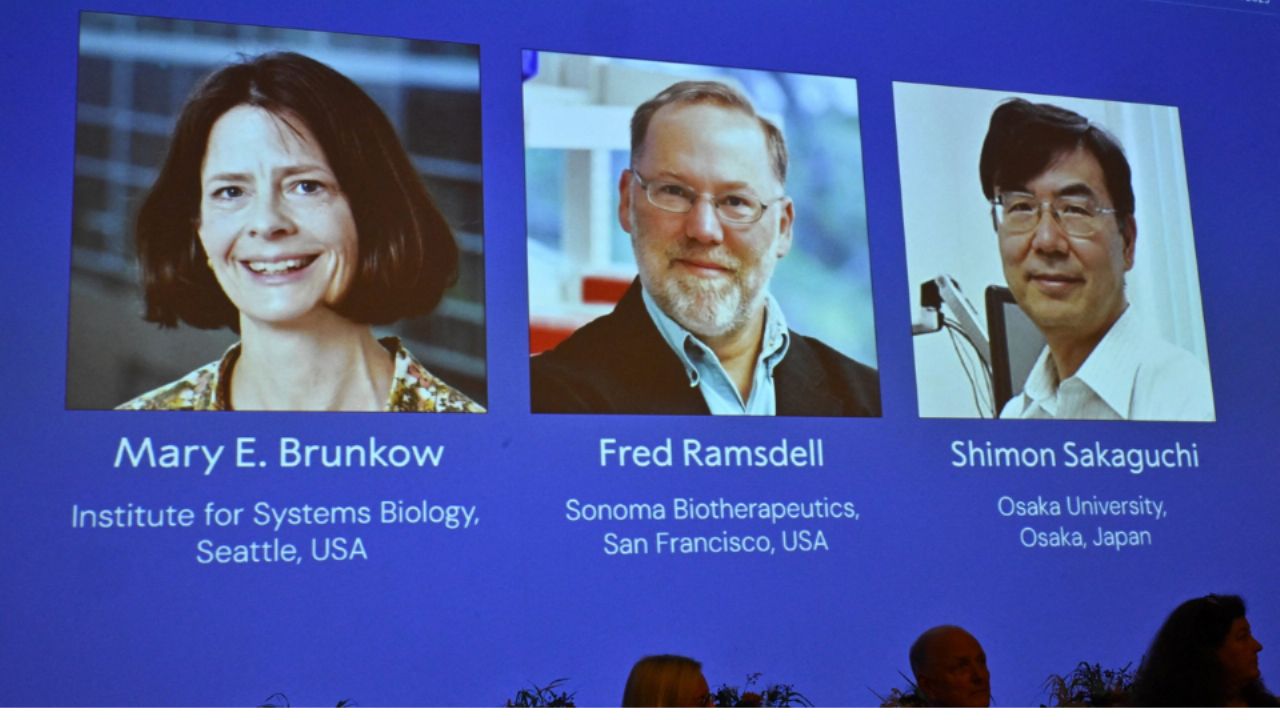 El Premio Nobel de Medicina 2025 se otorga a Mary E. Brunkow, Fred Ramsdell y Shimon Sakaguchi