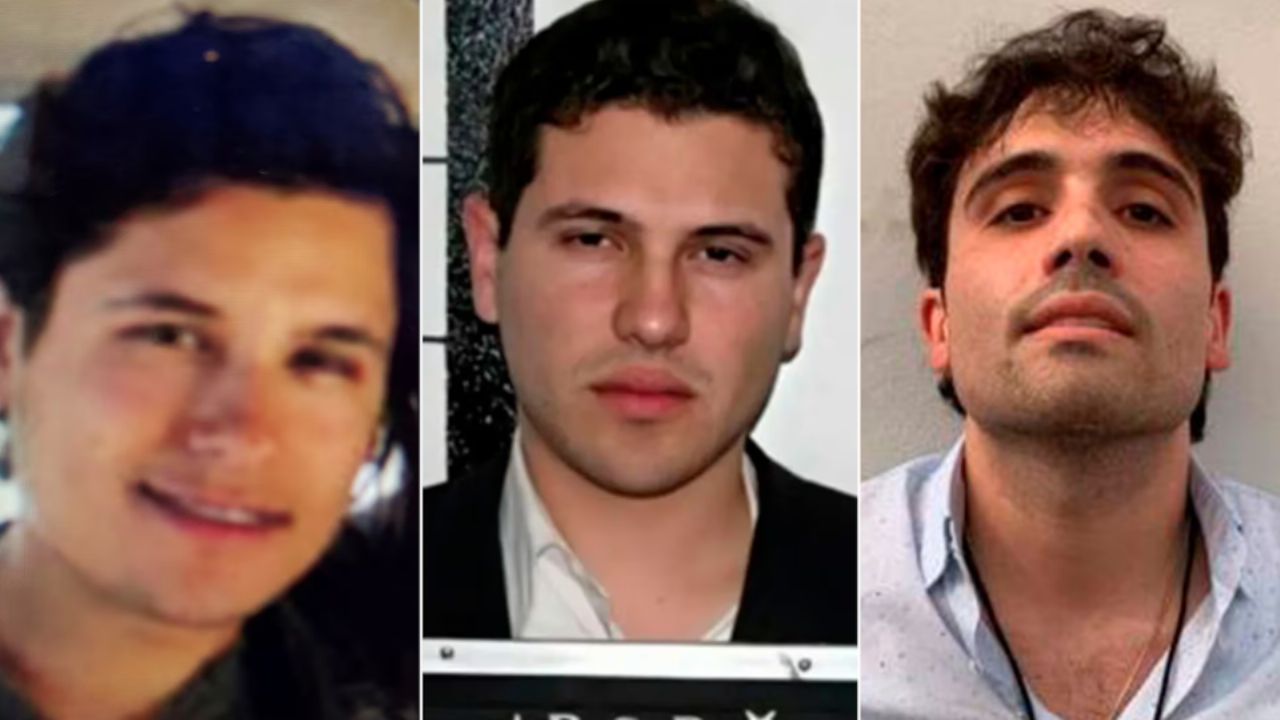 EU sanciona a 12 empresas y 10 mexicanos vinculados al tráfico de fentanilo ilícito a ‘Los Chapitos’