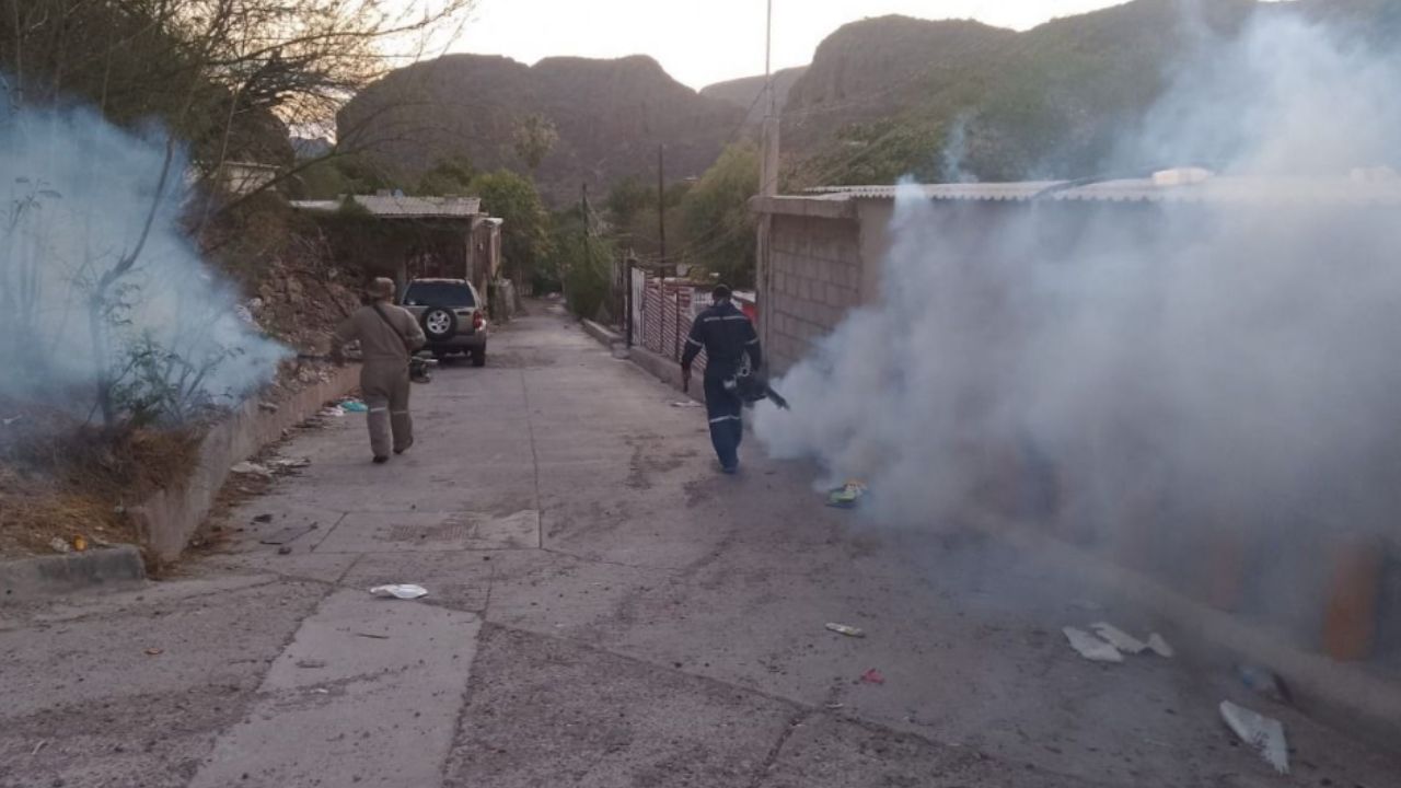 Alerta en Guaymas: Dengue alcanza las comunidades de Pótam y Vícam, refuerzan acciones de prevención