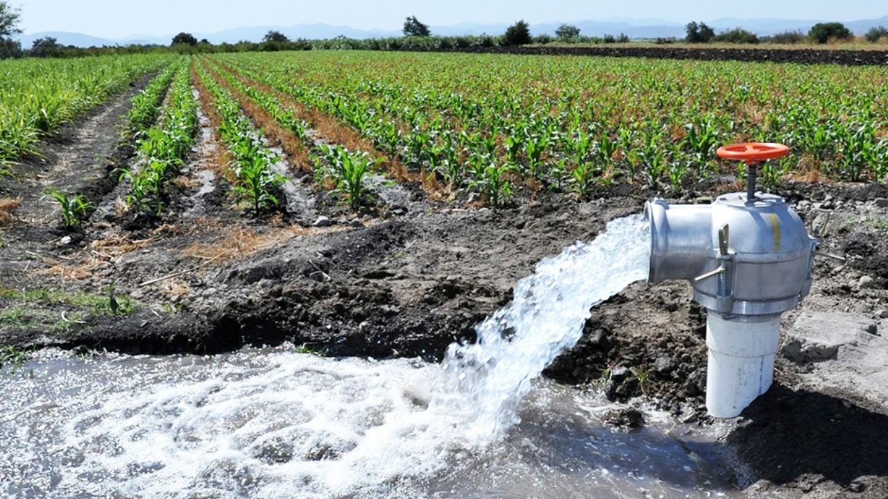 Distrito de Riego del Río Yaqui analiza posible reducción del 50 por ciento en el costo del agua