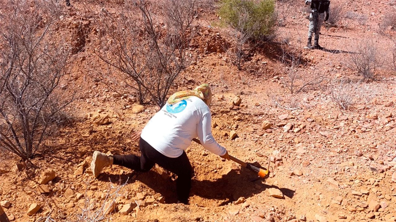 Macabro hallazgo en Sonora: Cuerpo semienterrado con evidentes signos de violencia