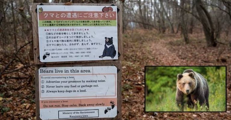 El hombre fue encontrado con la cabeza y el torso separados.