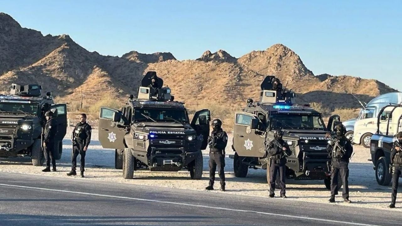 División de Operaciones Fronterizas en Sonora es inédita en el país: Comités Ciudadanos de Seguridad Pública