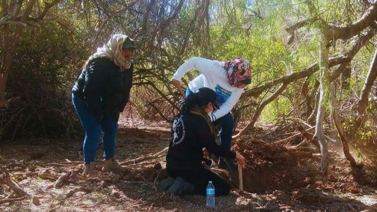 Identifican a los 60 cuerpos hallados en fosa de Hermosillo; van cinco personas detenidas