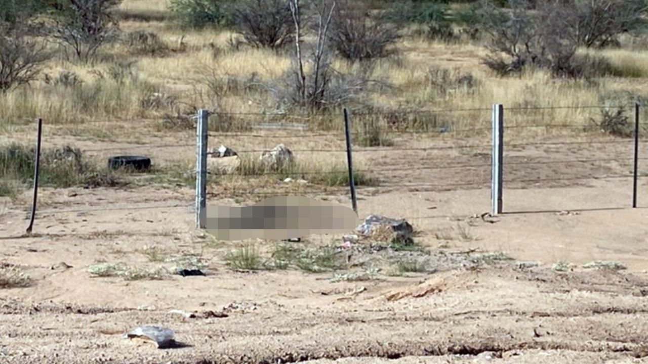 Le dispararon en la cabeza: Encuentran a hombre muerto en carretera Hermosillo – Guaymas