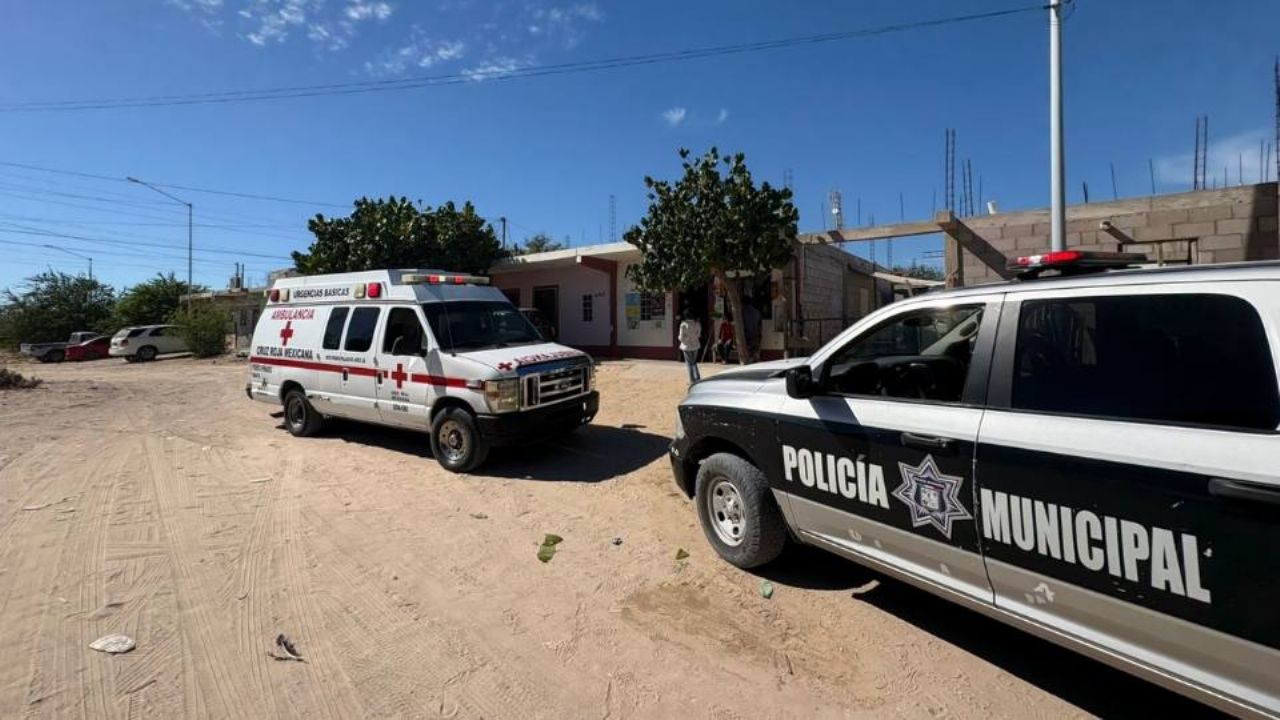 Niño de 7 años termina en el hospital tras el ataque de perro pitbull al norte de Sonora