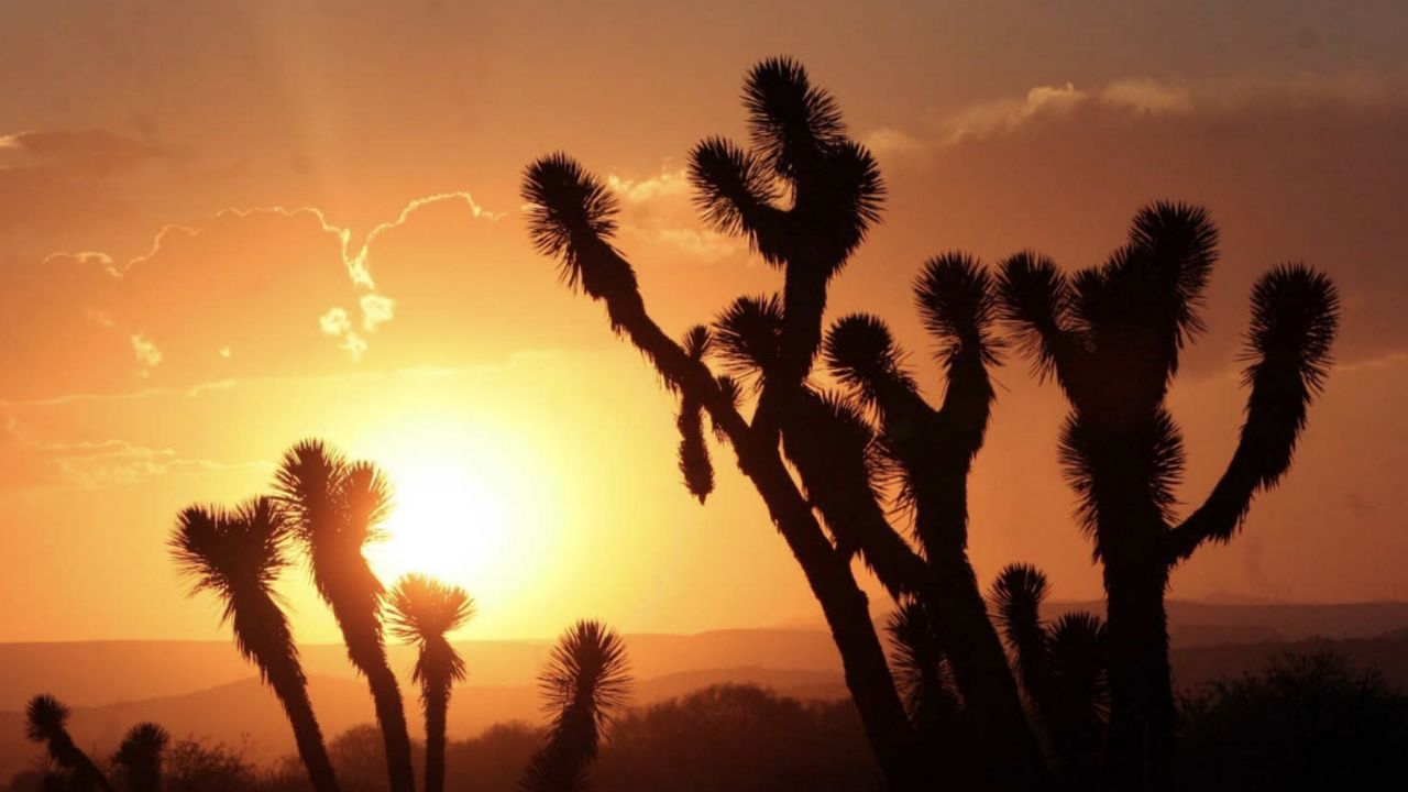 Clima en Sonora HOY: Calor, cielo despejado y hasta 38°C este MIÉRCOLES 5 de noviembre