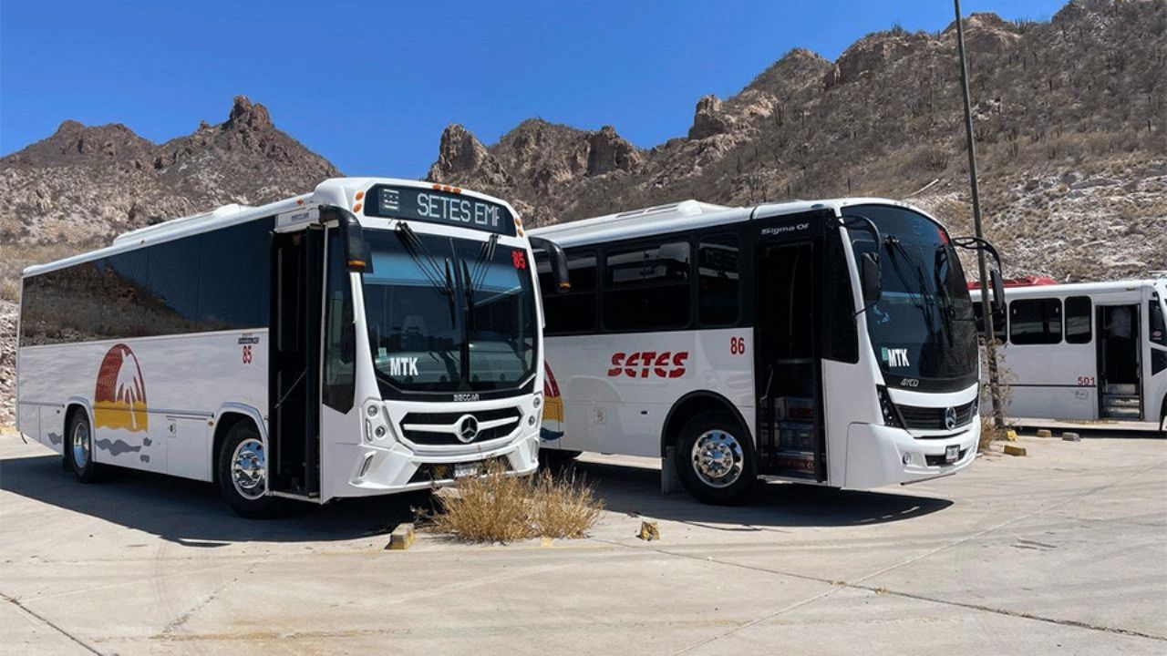Empresarios del transporte turístico en Guaymas y Empalme enfrentan drástica baja en la demanda