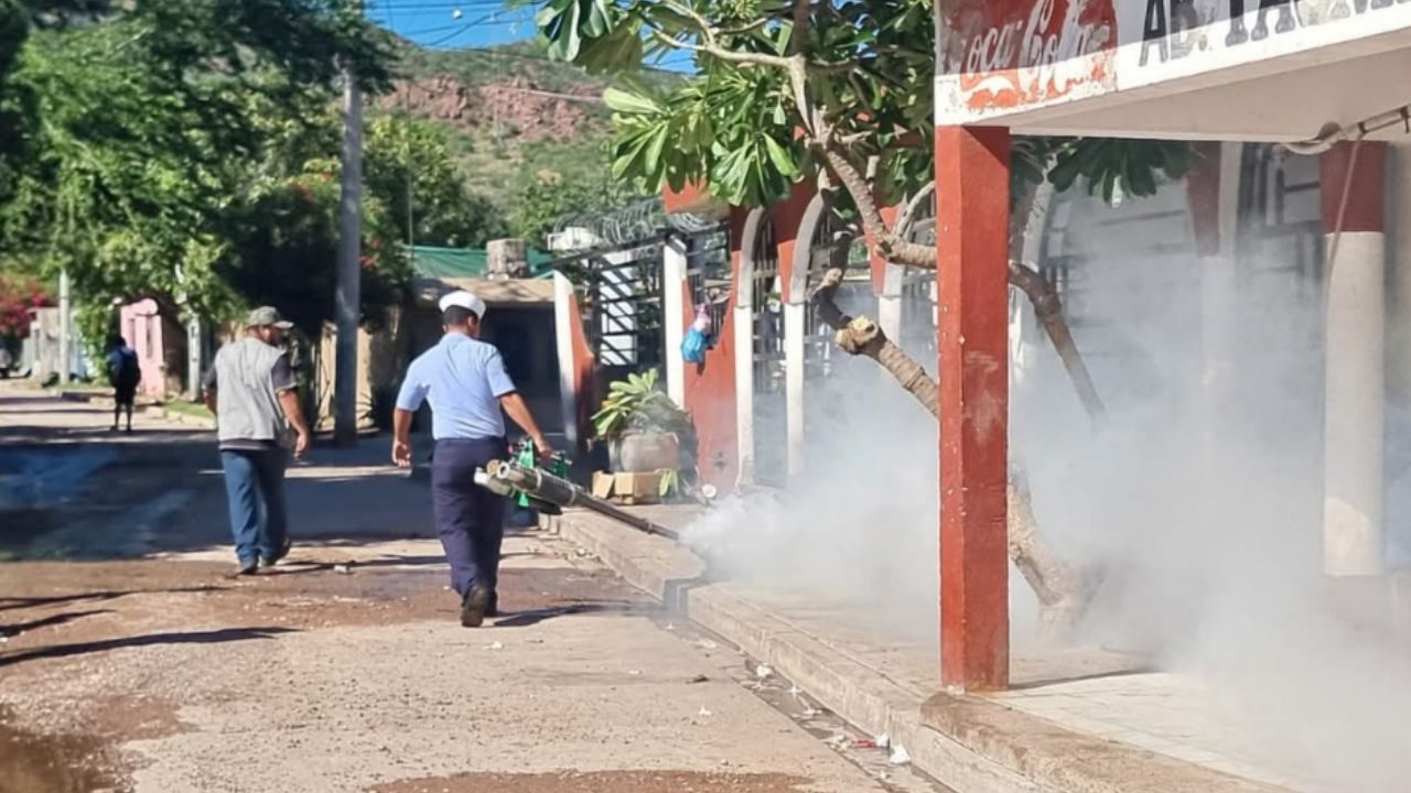 Secretaría de Salud: Sonora supera los 900 casos de dengue en el 2025