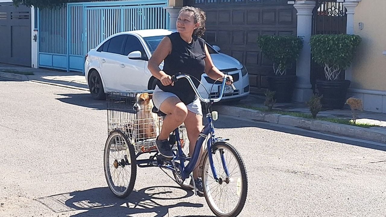 Amor sobre ruedas: Edna y su triciclo cuidan a 128 perros del albergue ‘Cunitas’ en Ciudad Obregón