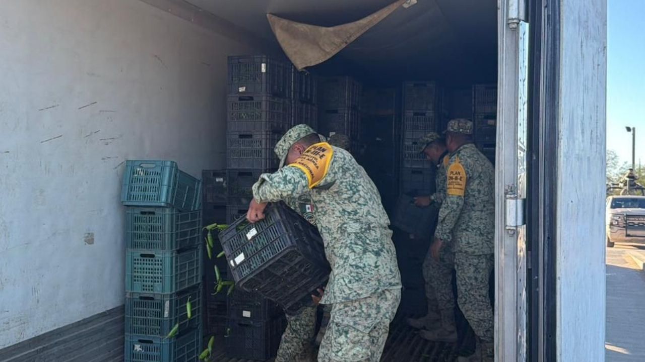 San Luis Río Colorado: Hallan mil kilos de droga escondida en tráiler que transportaba chiles a Mexicali