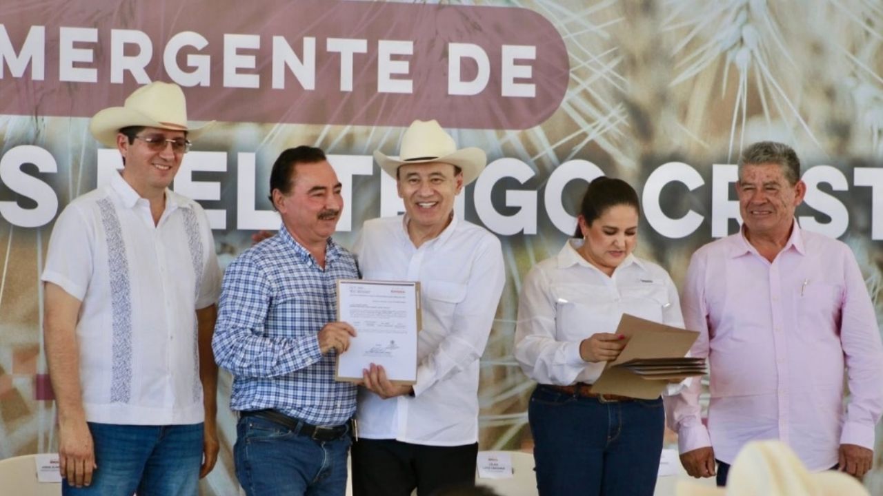 Productores recibirán 10 dólares complementarios por tonelada de trigo en Sonora