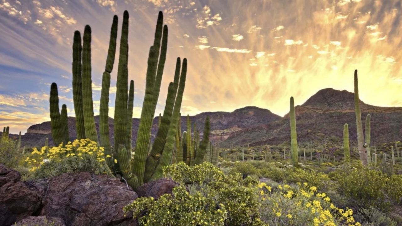 Clima en Sonora: Conagua advierte descenso en la temperatura y cielo parcialmente nublado sin lluvia