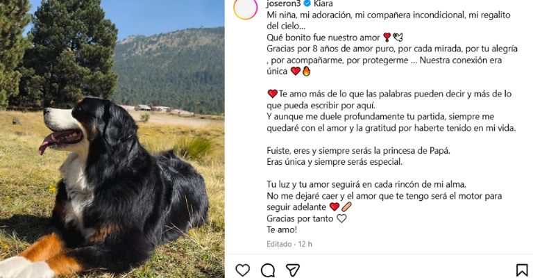 José Ron viste de luto a Televisa al revelar que perdió a su perrhija