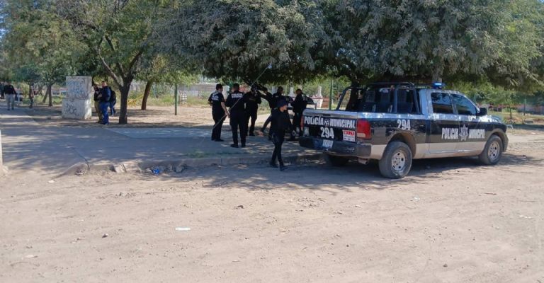 Diferentes corporaciones policíacas acudieron al lugar.