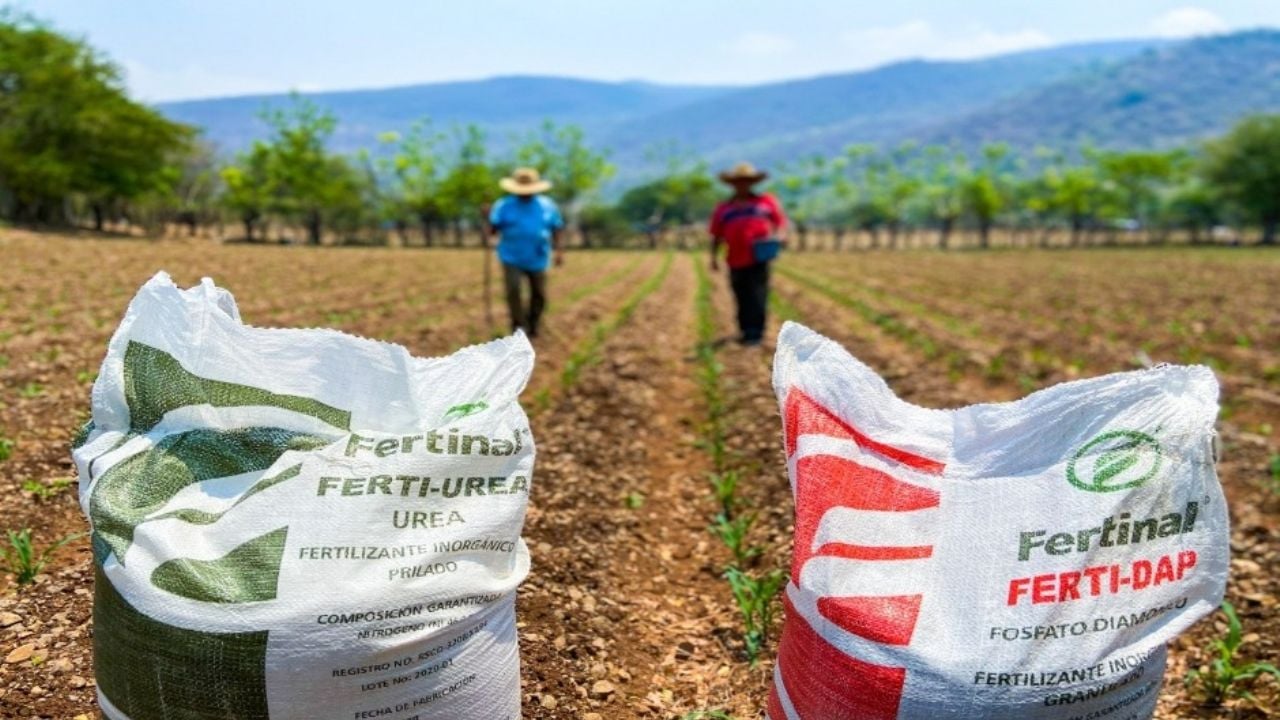 Sader impulsa una estrategia intensiva para la entrega de fertilizante en Cajeme y Navojoa