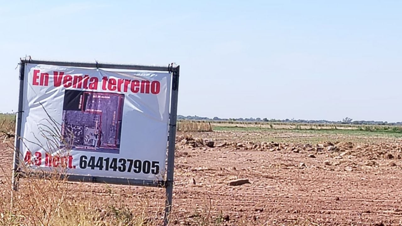 Productores de Ciudad Obregón logran avances, pero la lucha por precios de garantía sigue