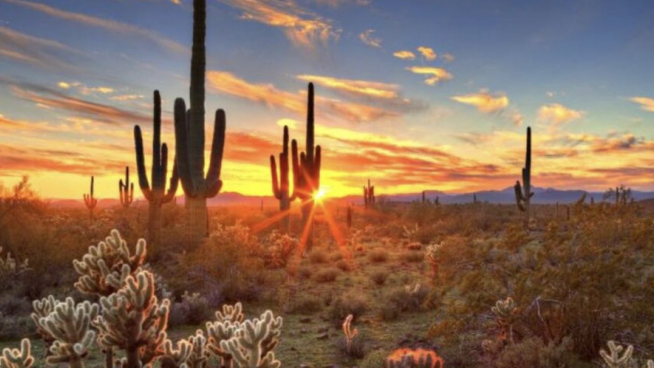 Clima en Sonora HOY: Mañana fresca, tarde calurosa y noche fría este 10 de noviembre