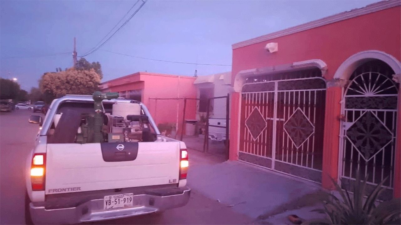 Alerta en Guaymas: Dengue supera los mil casos, con fumigaciones y cercos epidemiológicos