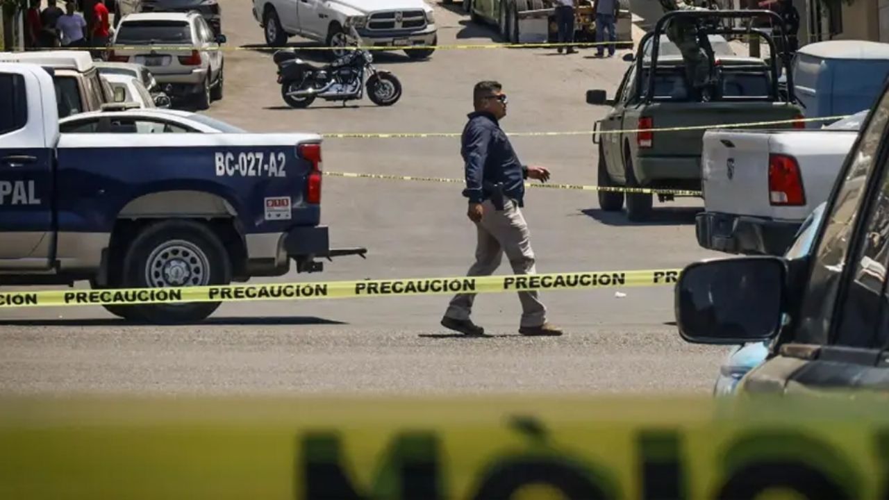 Bajan los homicidios, nuevo paro nacional de agricultores y transportistas y más en el Tribuna Top 3 México