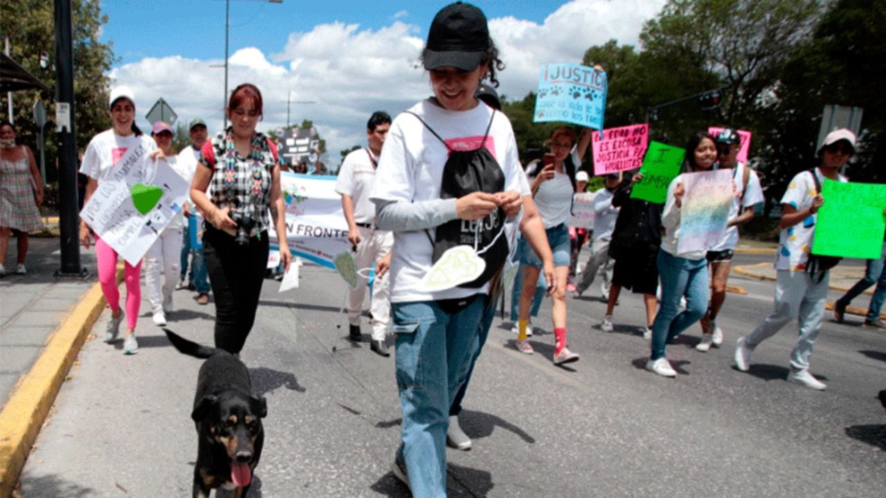 Tráfico en CDMX: Se espera caos por marchas y bloqueos este 16 de noviembre en la capital