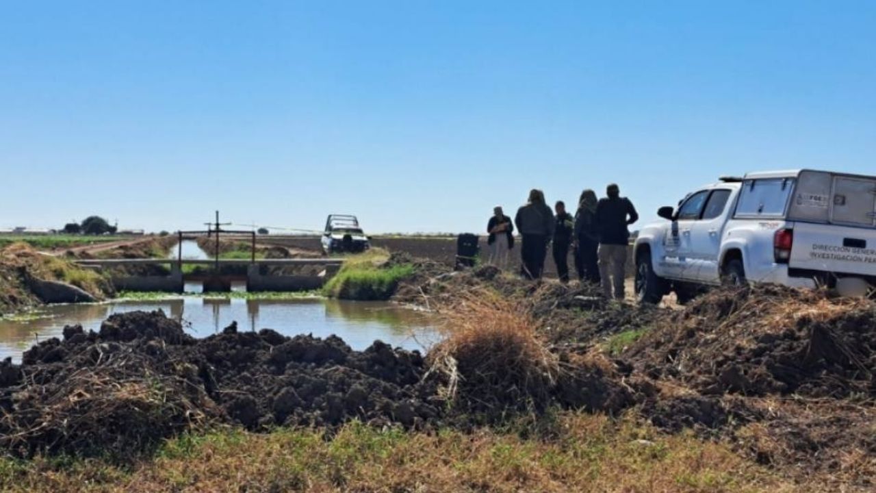 Ejecutan a balazos a un hombre y abandonan su cuerpo junto a tierras de cultivo en Navolato