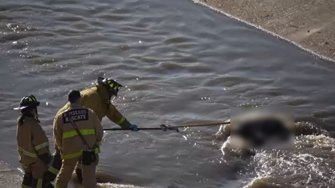 Hallan cuerpo con signos de violencia en la canalización del Río Tijuana; estaba atado de pies y manos