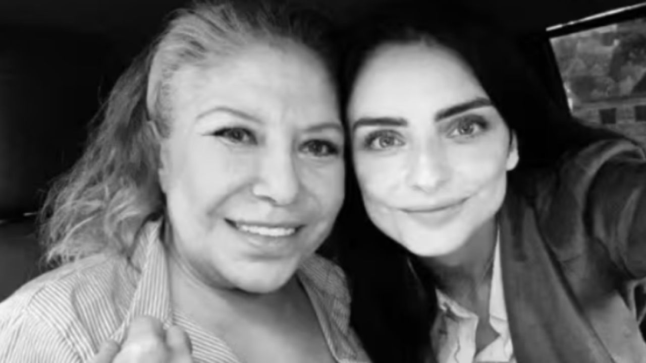 Aislinn Derbez pide respeto por su duelo, captan a Alejandro Fernández borracho y más en Top 3 Espectáculos